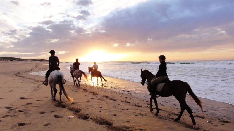 Sunset Horse Riding
